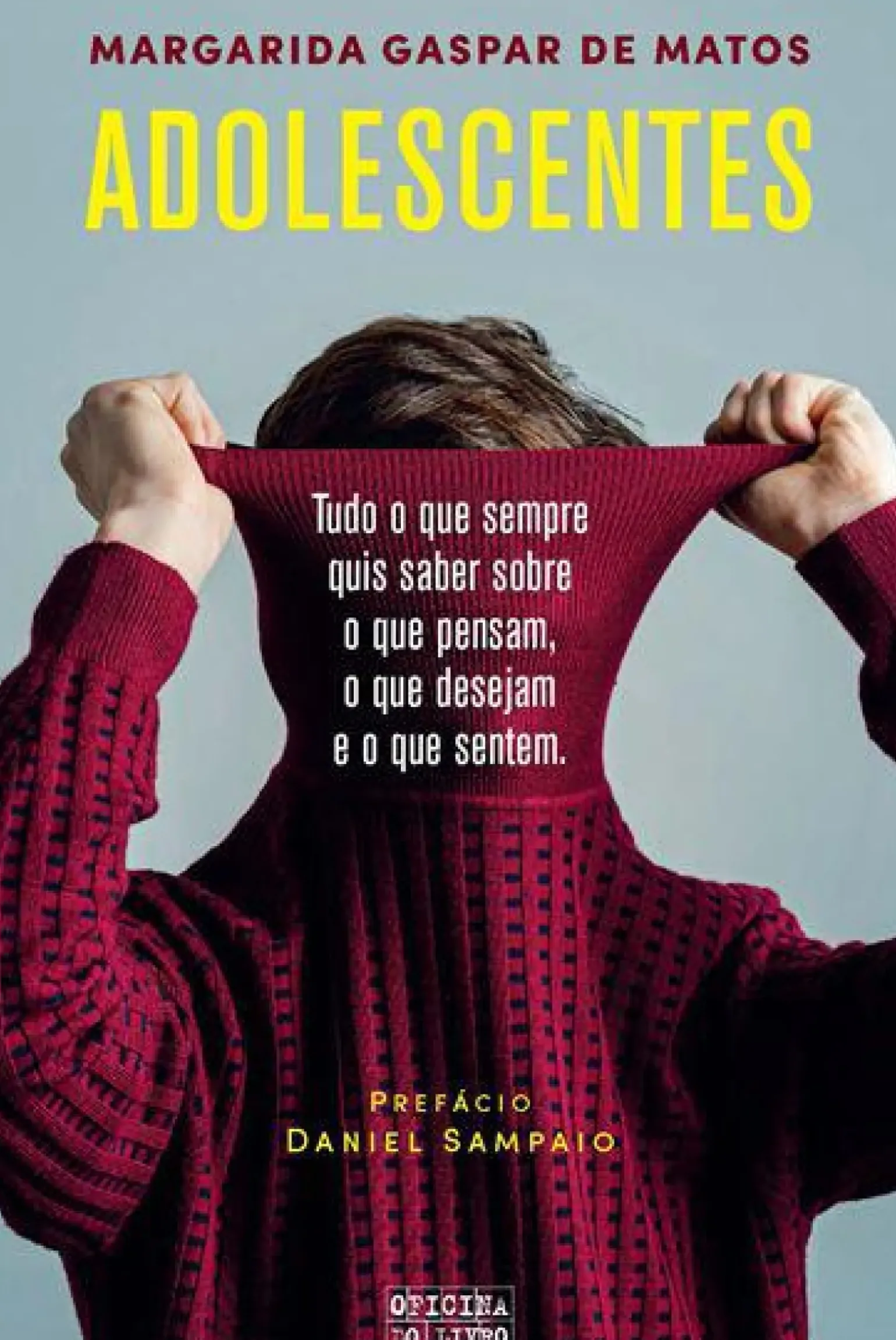 Adolescentes de Margarida Gaspar de Matos