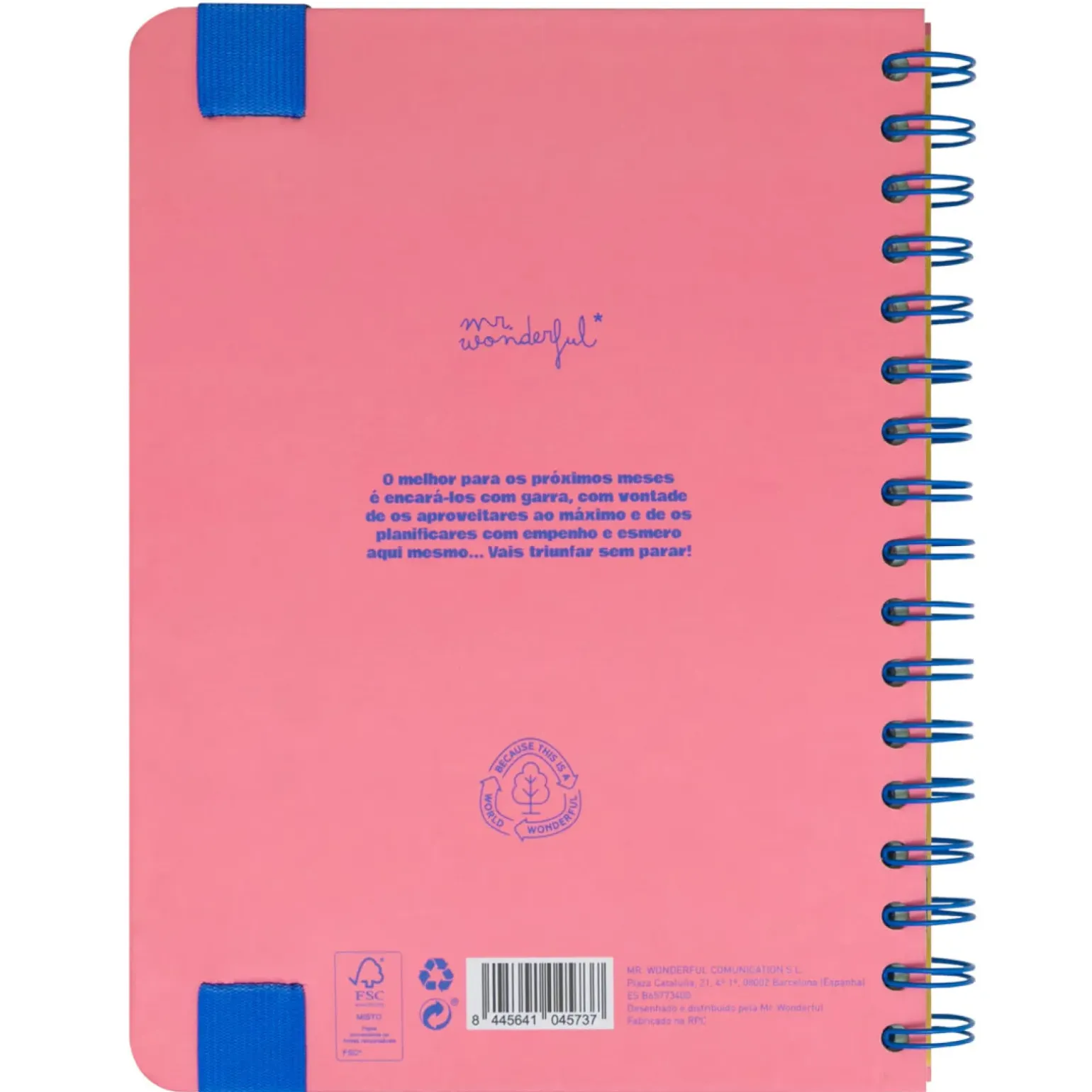 Agenda Wonder 24/25 Semanal Grande - Vou Com Tudo