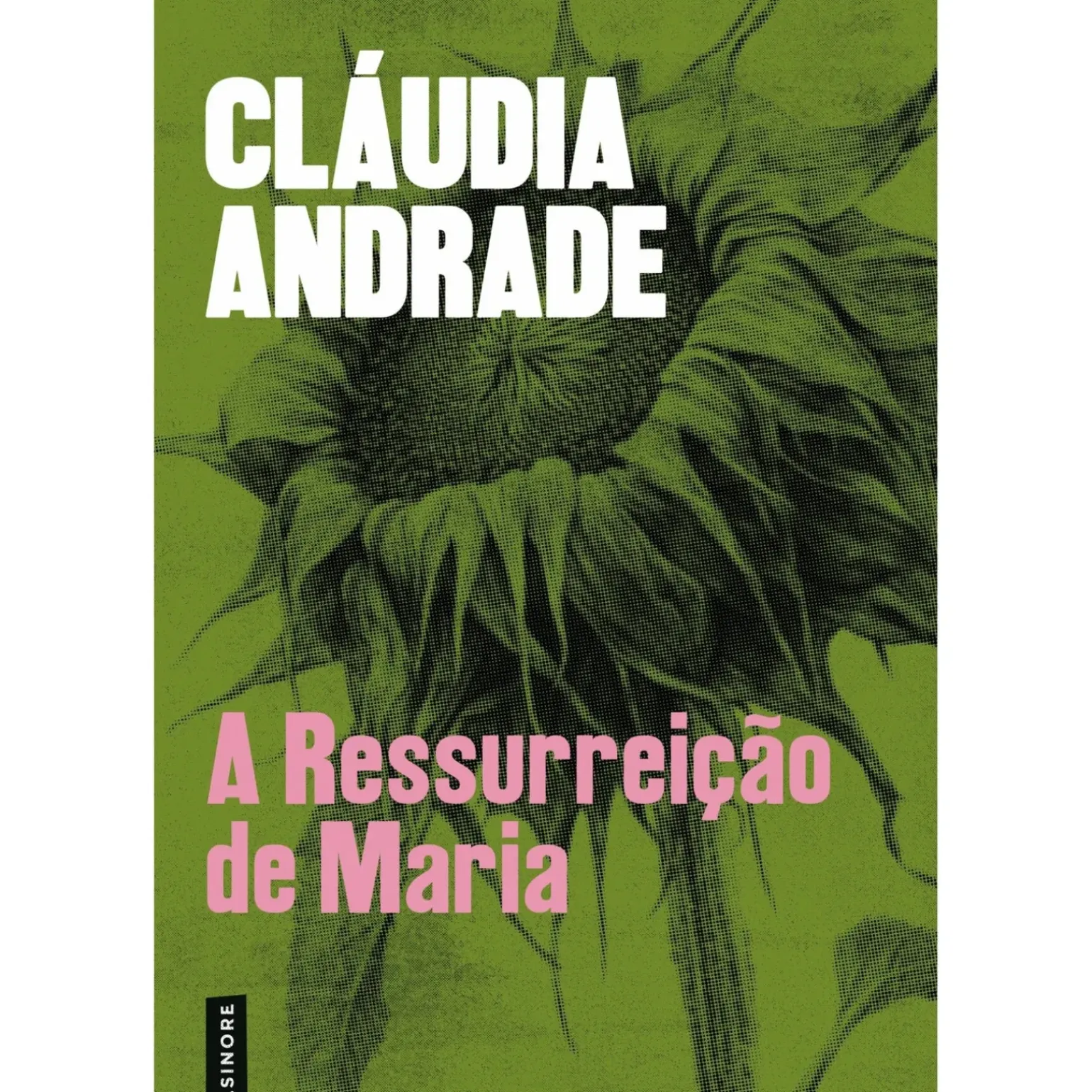 A Ressurreição de Maria de Cláudia Andrade