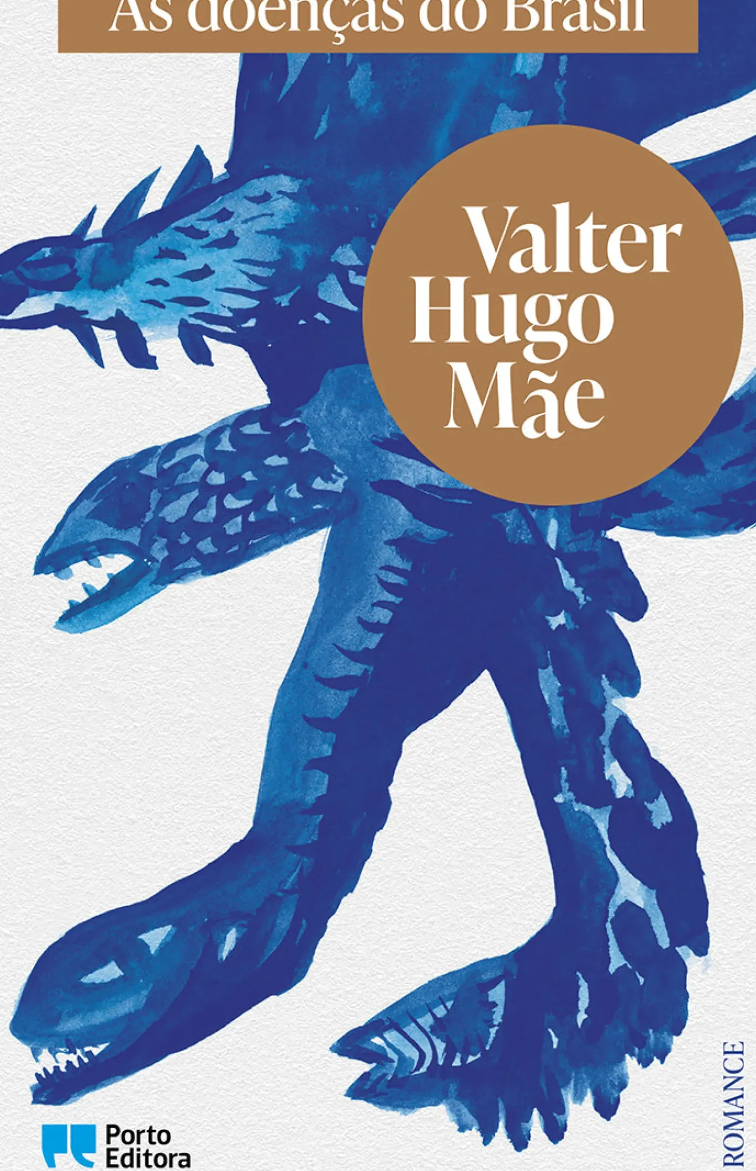 As Doenças do Brasil de valter hugo mãe