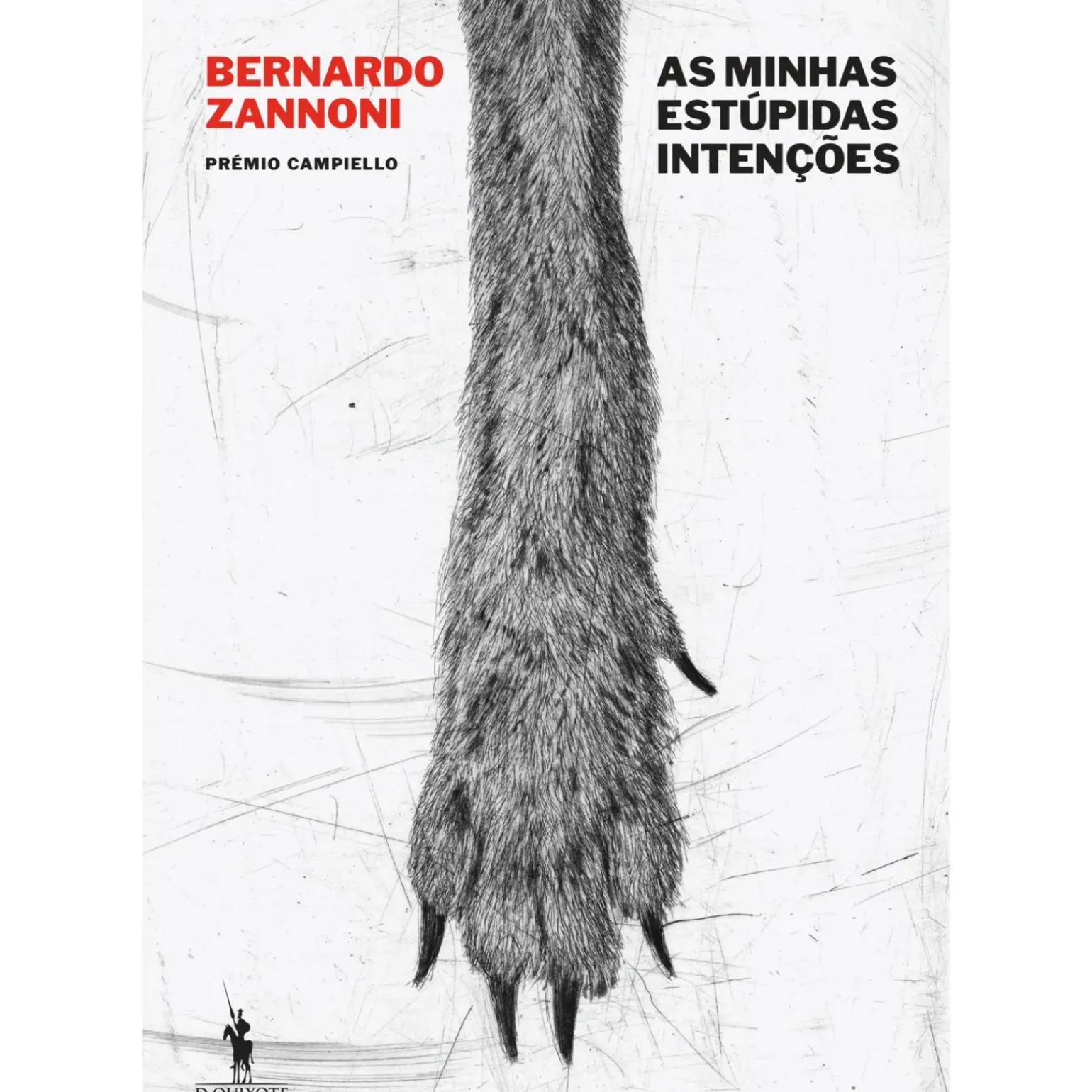 As Minhas Estúpidas Intenções de Bernardo Zannoni