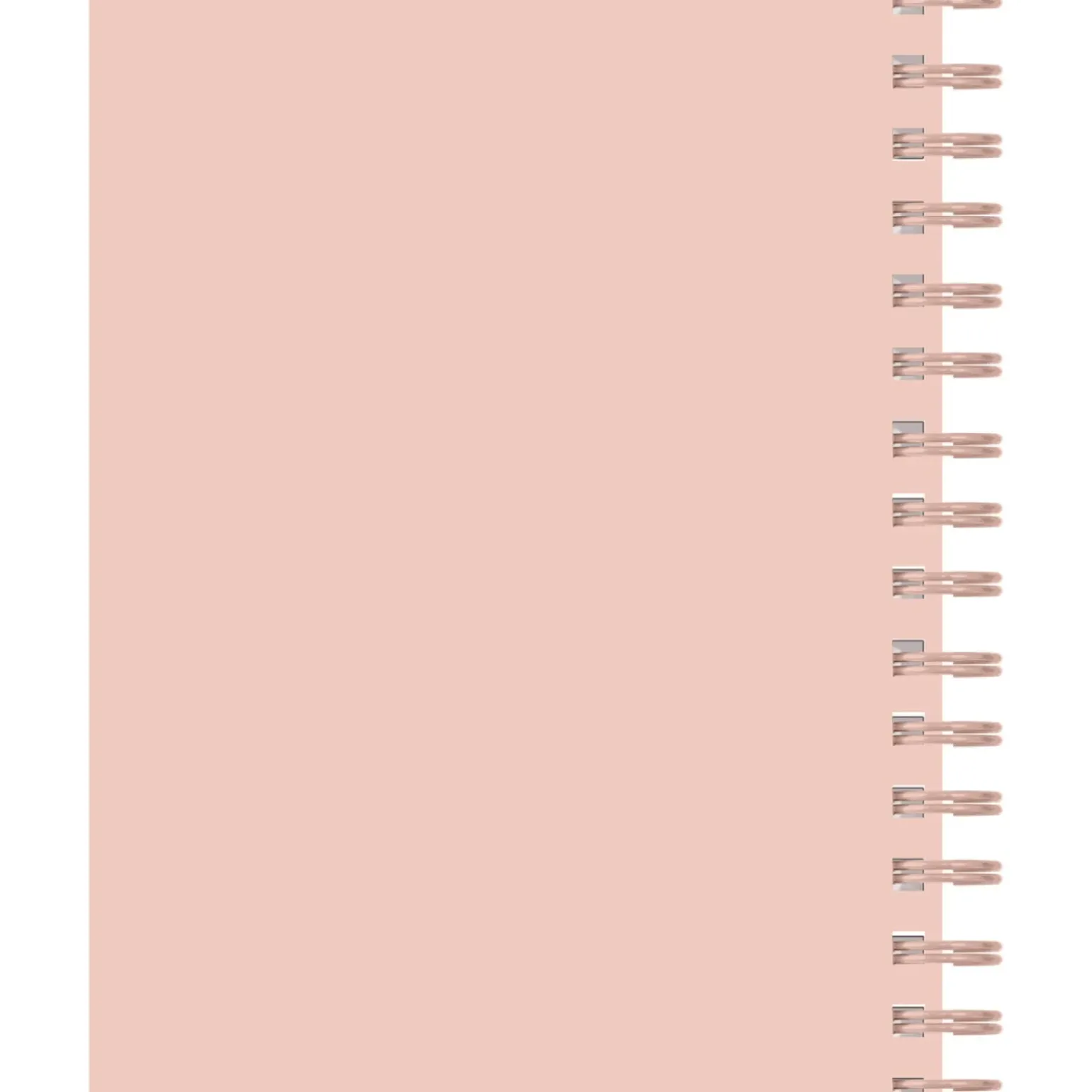 Caderno Espiral A5 80 Folhas 70G Pautado Pins Note!