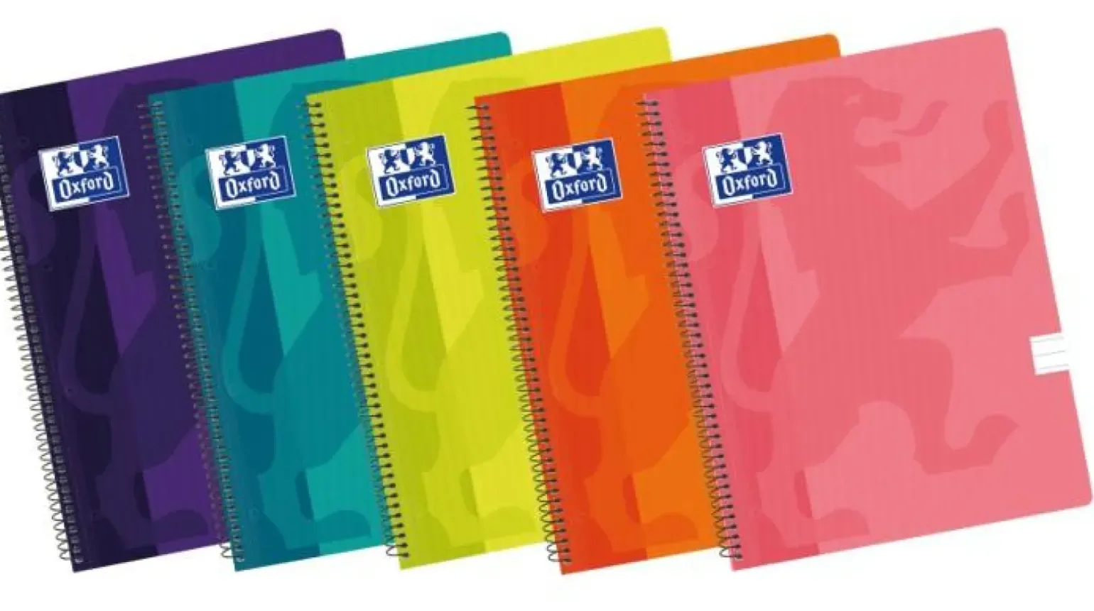 Caderno Espiral Flex A4 Pautado (várias cores)