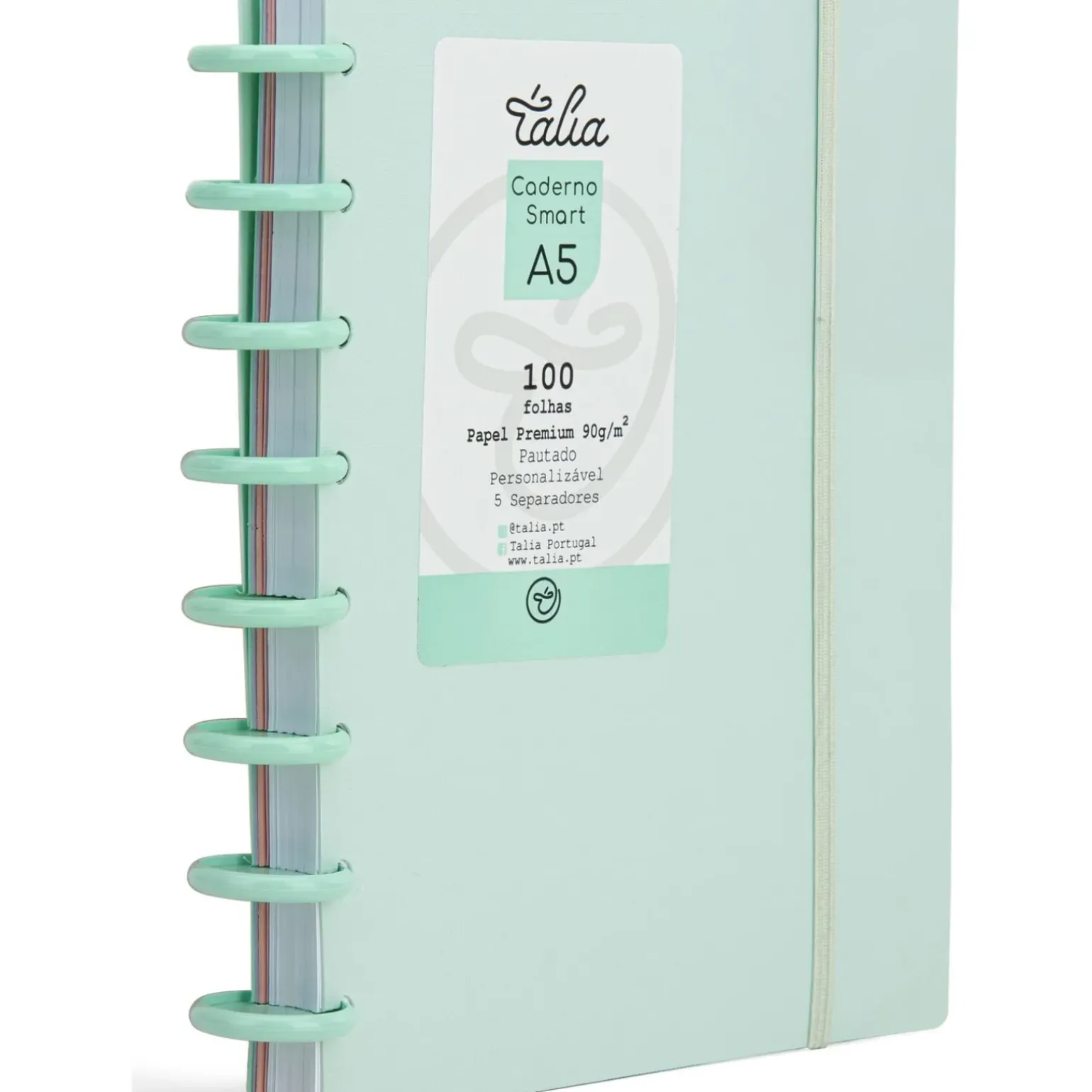 Caderno Smart A5 com Elástico 100 Folhas Verde Pastel Talia