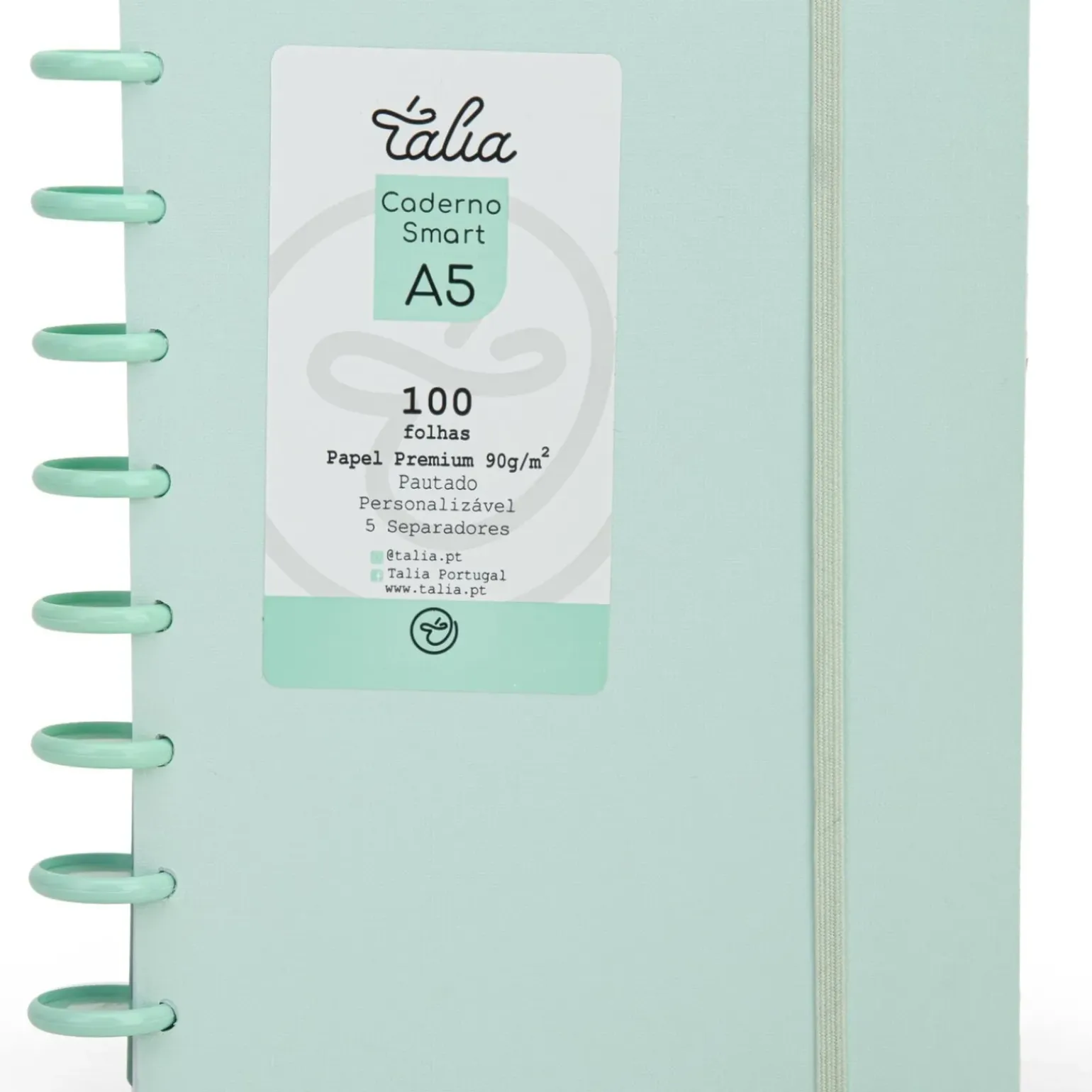 Caderno Smart A5 com Elástico 100 Folhas Verde Pastel Talia