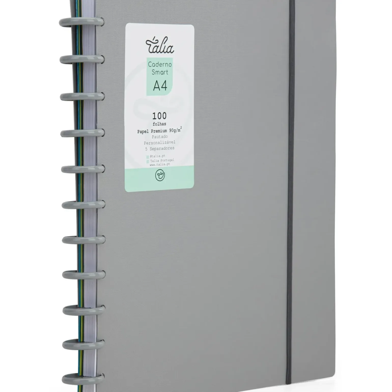 Caderno Smart A4 com Elástico 100 Folhas Cinzento Talia