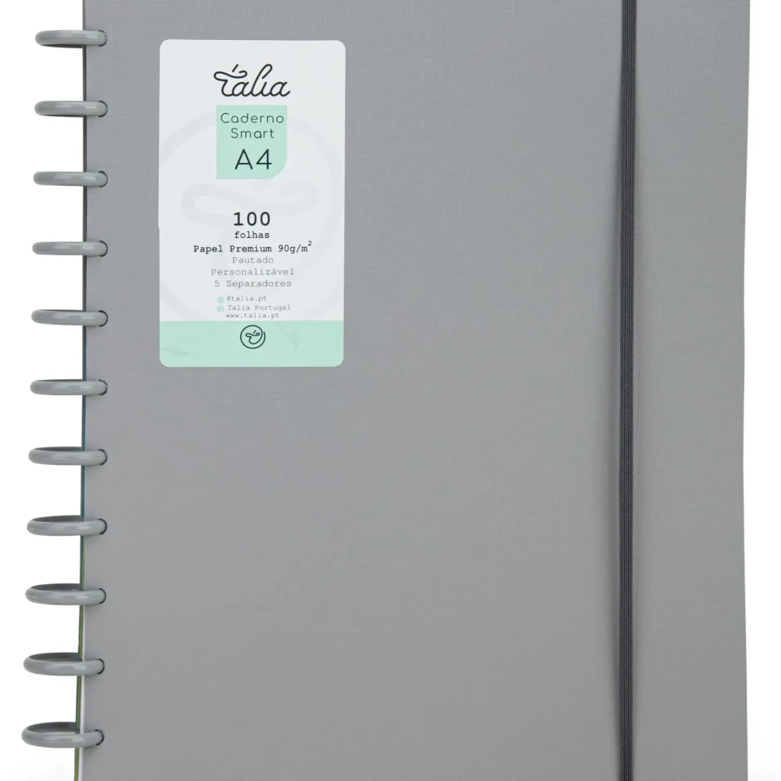 Caderno Smart A4 com Elástico 100 Folhas Cinzento Talia