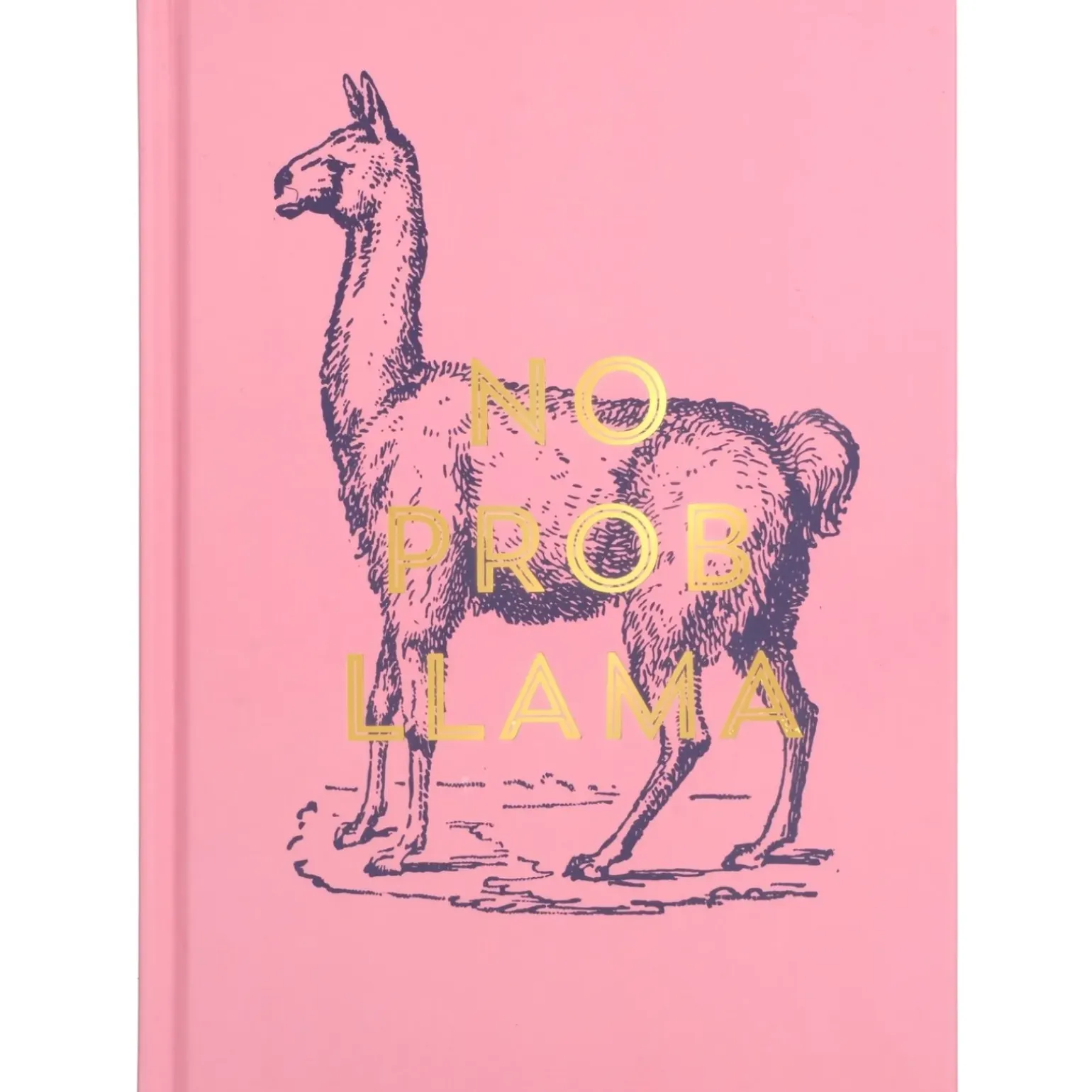 Caderno Vintage Sass - No Prob Llama