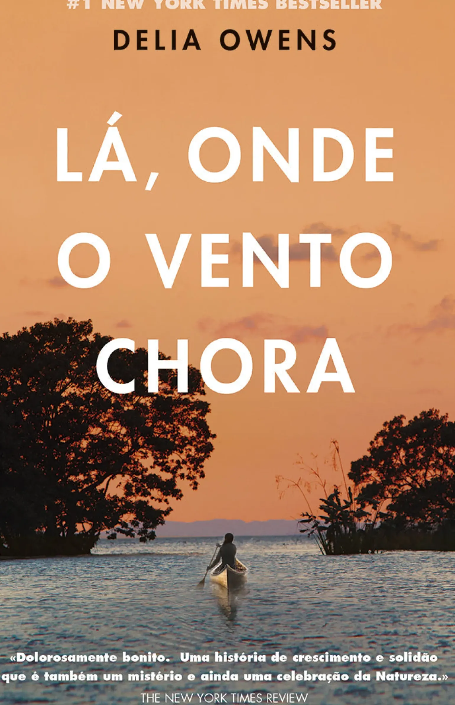 Lá, Onde o Vento Chora de Delia Owens