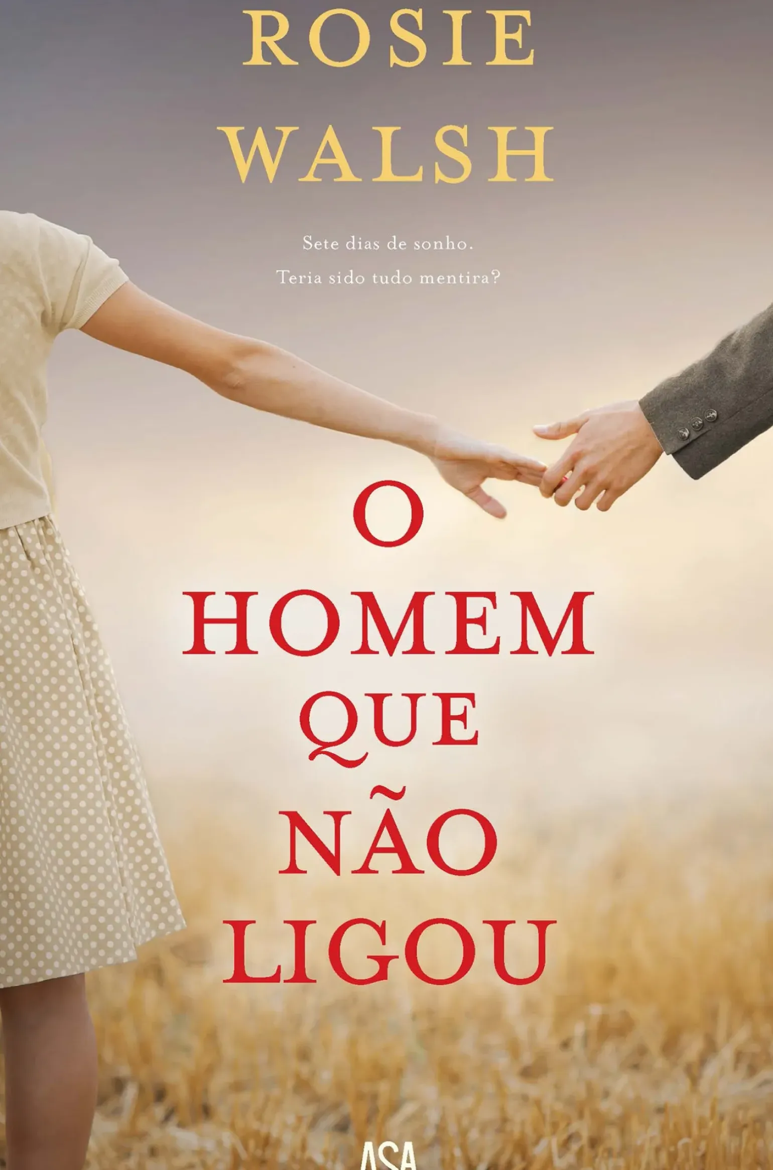 O Homem que Não Ligou de Rosie Walsh