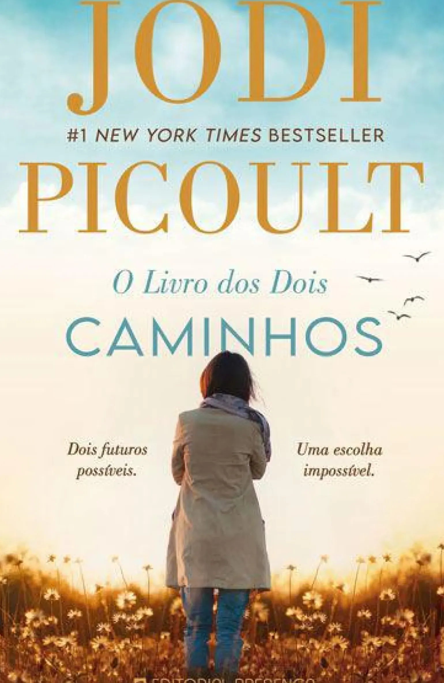 O Livro dos Dois Caminhos de Jodi Picoult