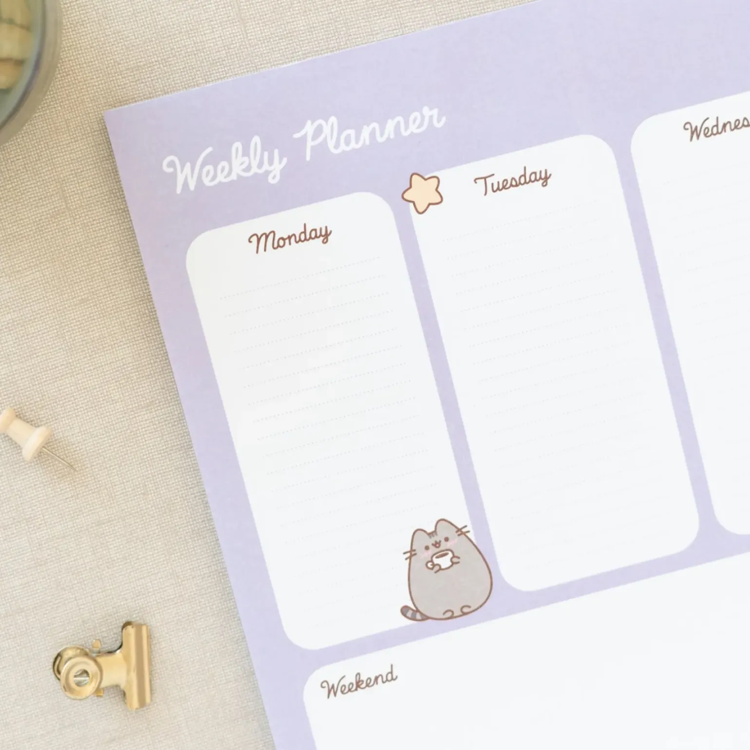 Organizador Sem A4 - Pusheen Moments