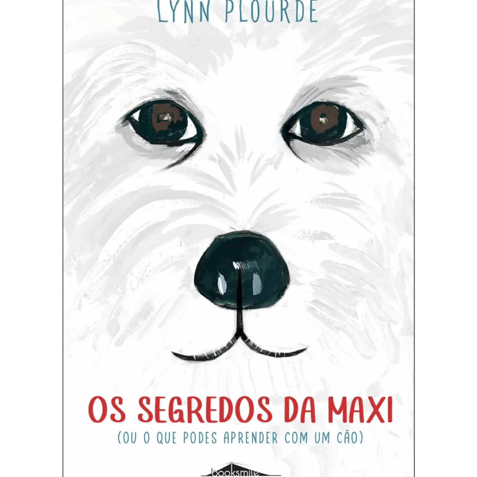 Os Segredos da Maxi de Lynn Plourde