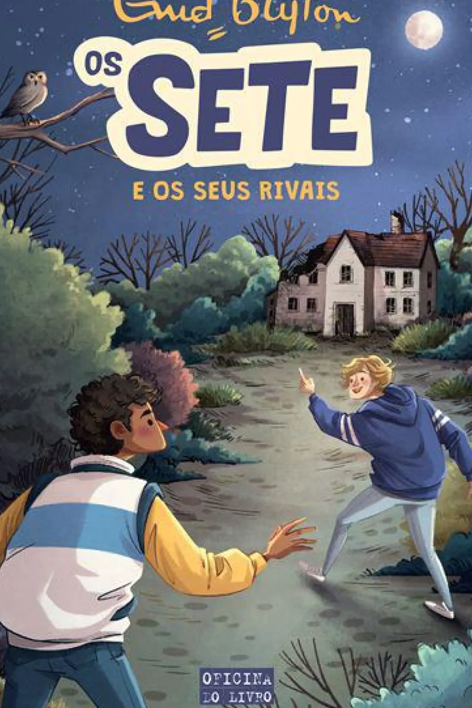 Os Sete e os seus Rivais de Enid Blyton - Os Sete - Volume 4