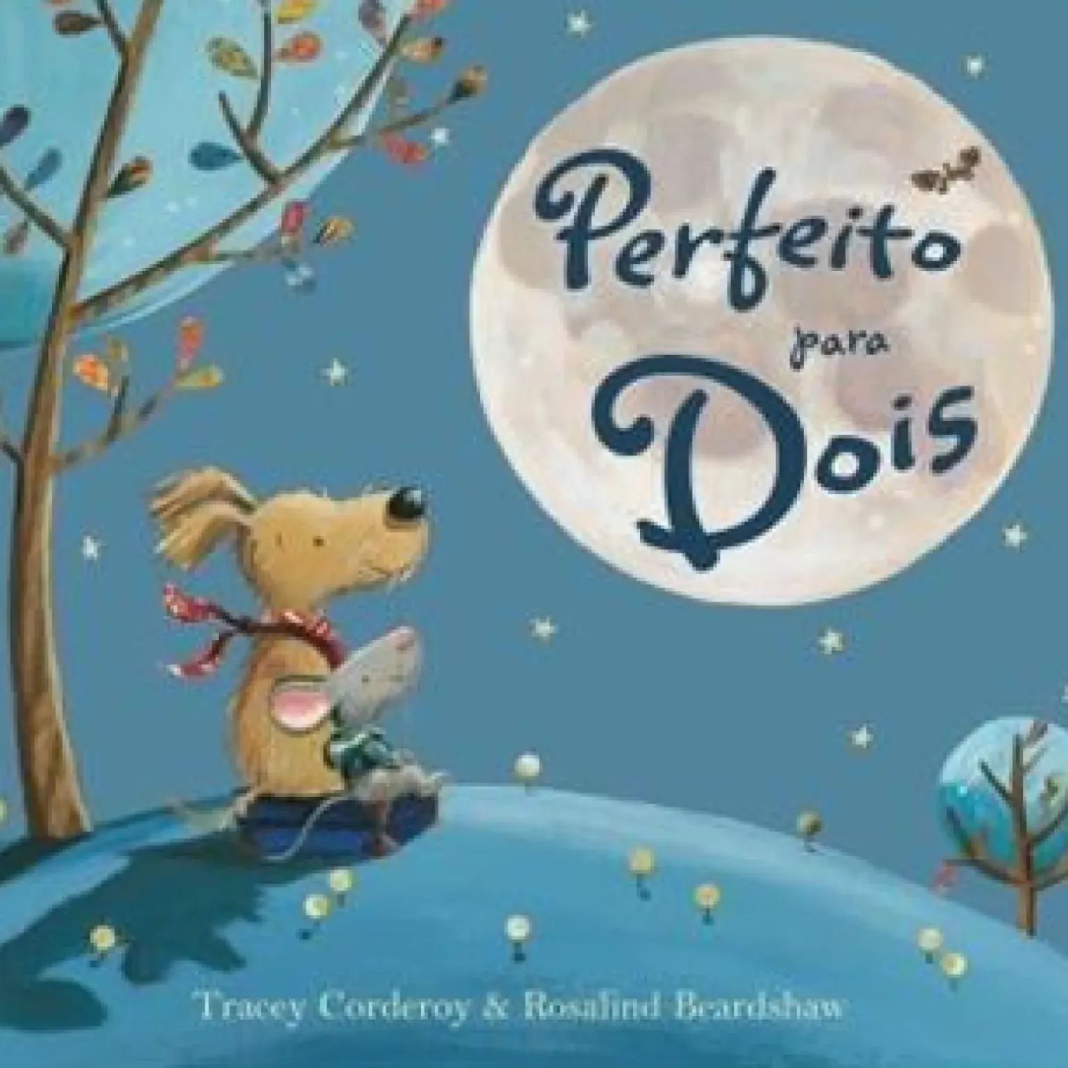 Perfeito para Dois de Tracey Corderoy