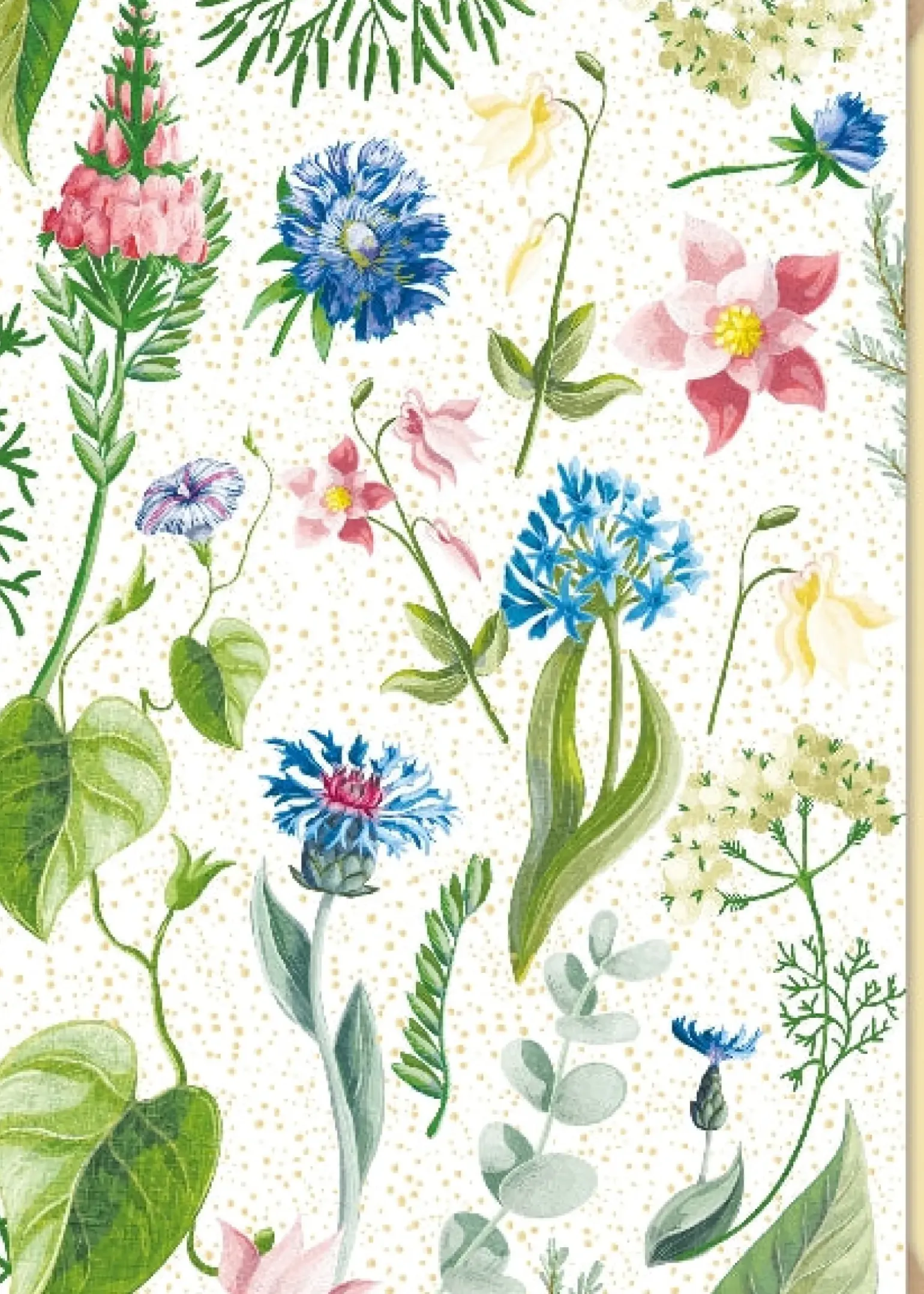 Postal - Flores Shiny