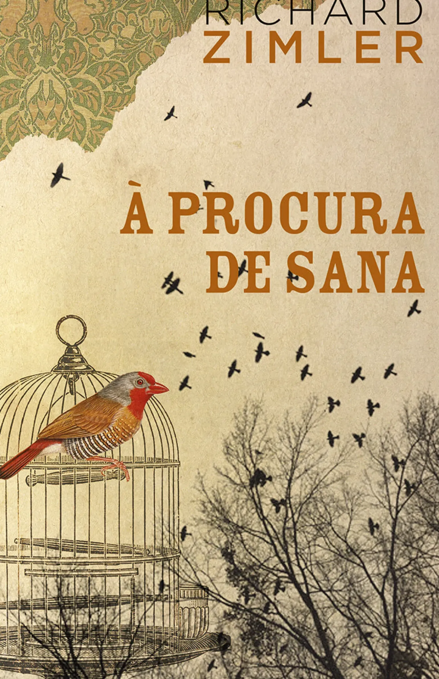 À Procura de Sana de Richard Zimler