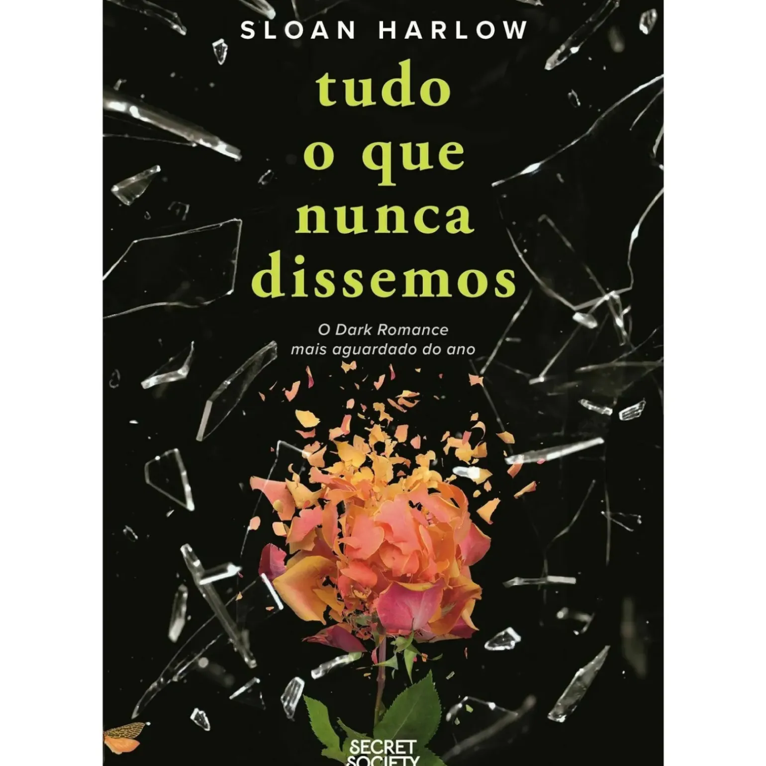 Tudo o que Nunca Dissemos de Sloan Harlow