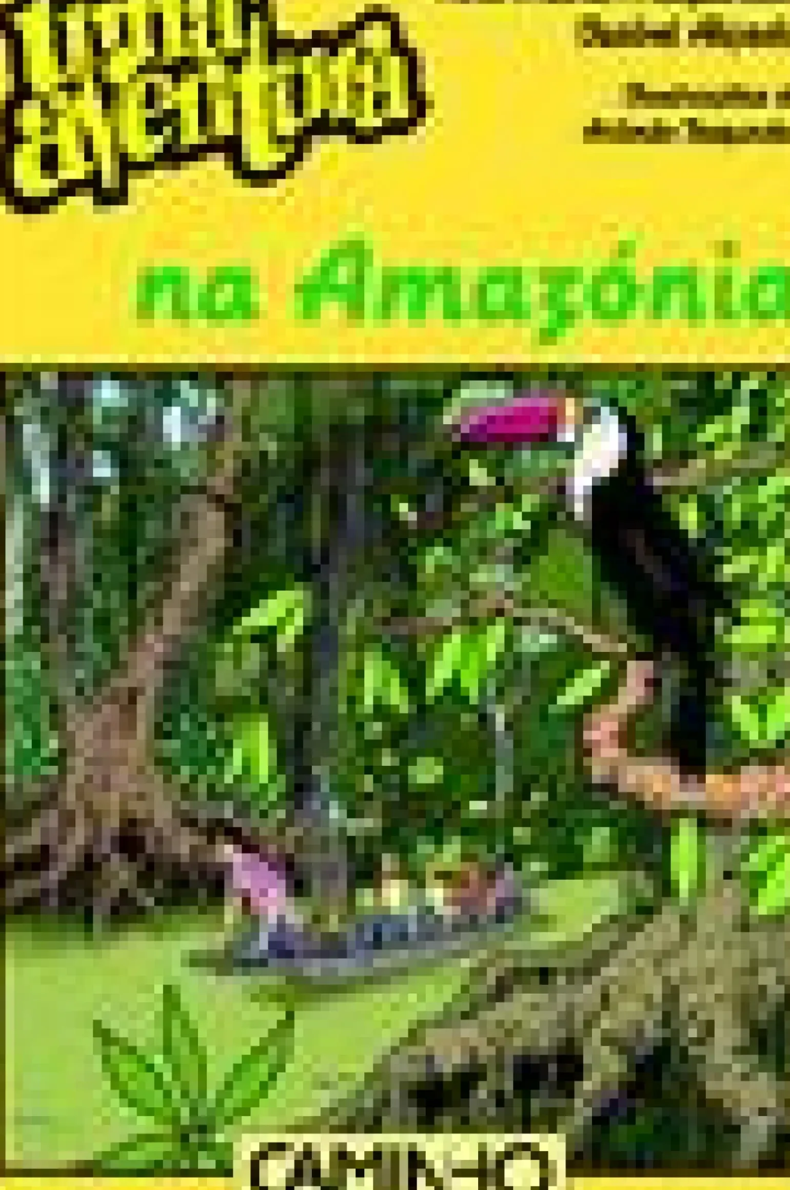 Uma Aventura na Amazónia de Ana Maria Magalhães e Isabel Alçada - Volume 51