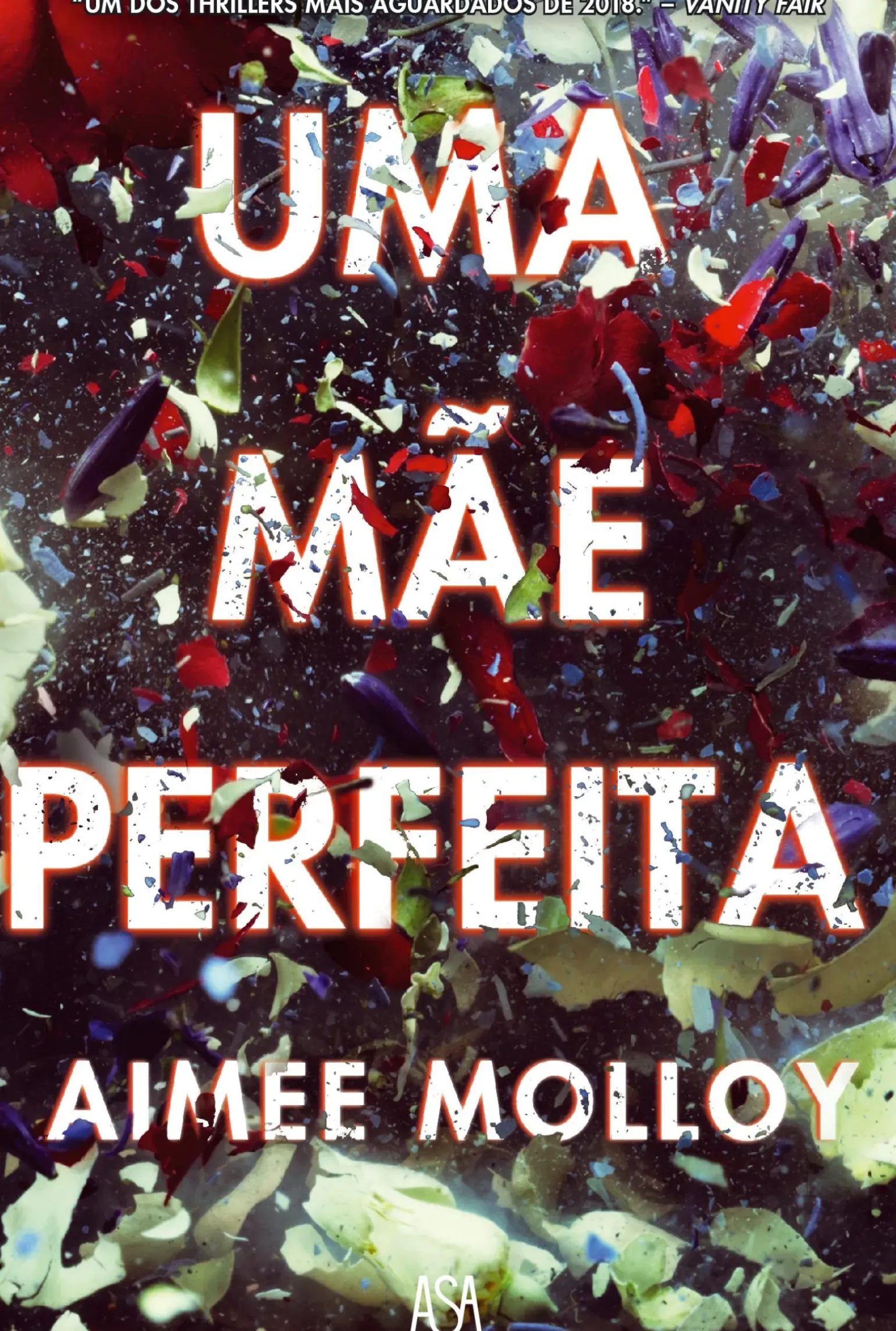 Uma Mãe Perfeita de Aimee Molloy