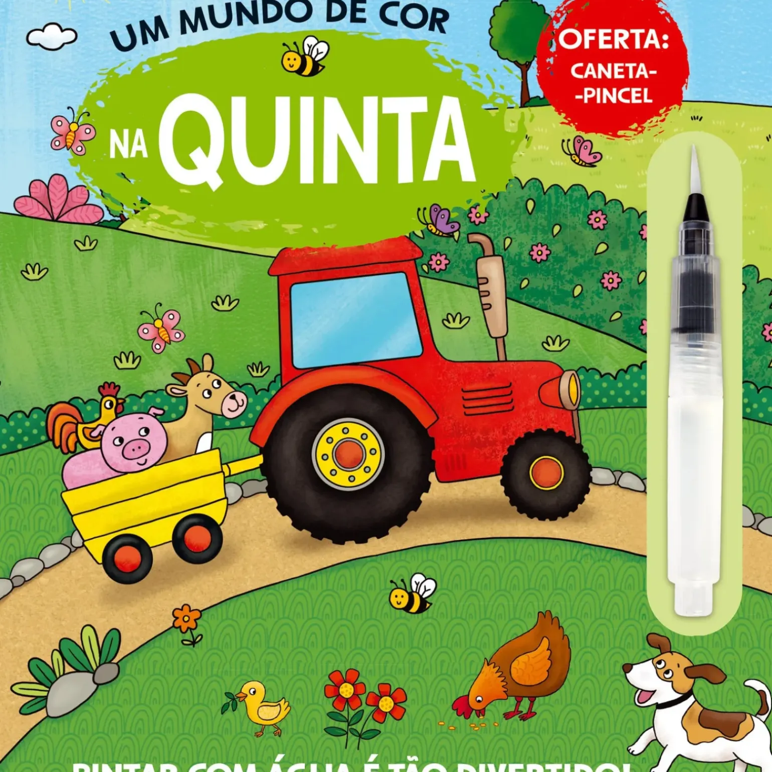 Um Mundo de Cor - na Quinta
